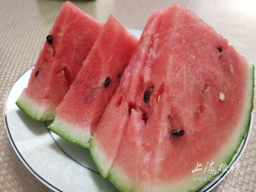 国家级吃瓜人员