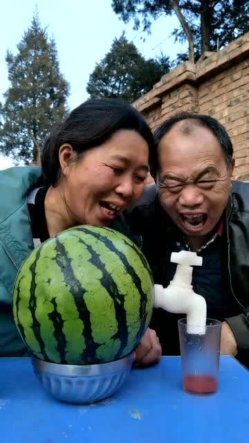 青蛙吃瓜目瞪口呆,目瞪口呆，揭秘神奇食趣瞬间