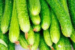 解解吃瓜,揭秘娱乐圈幕后故事