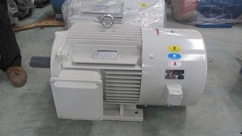 吃瓜电机厂,创新驱动下的绿色能源先锋