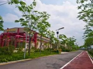 河庄广场吃瓜,夏日吃瓜盛宴，共享欢乐时光