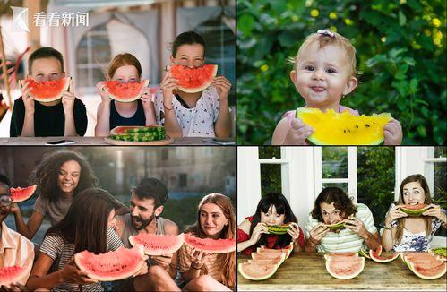 全家吃恋爱瓜,全家共享的恋爱甜蜜时光