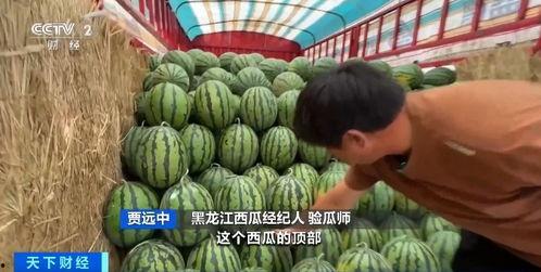 硬吃瓜,揭秘娱乐圈幕后真相