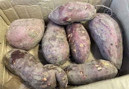 土瓜红薯怎么吃,家常美味新体验