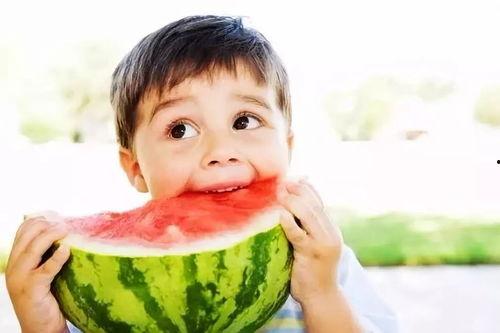 婴儿吃兰瓜饼干,兰瓜饼干，营养美味两不误