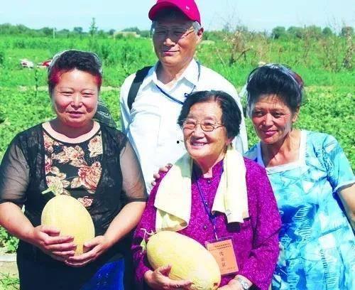 三教授吃瓜,揭秘学术圈背后的八卦风云