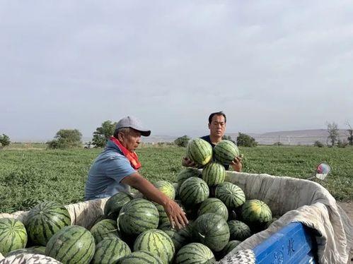 澄海的吃瓜,吃瓜文化背后的美食风情
