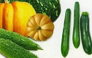 颖宝吃瓜社,揭秘娱乐圈幕后故事，带你领略明星真实一面