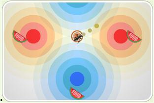 吃瓜蚂蚁的作品,揭秘娱乐圈背后的秘密与真相