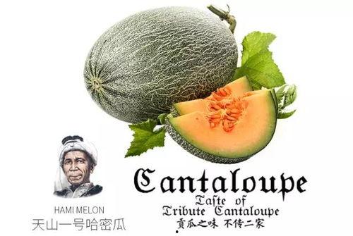 推荐吃瓜公众号,跟“吃瓜群众”一起探秘明星生活