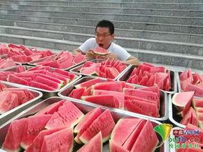 公办学校吃瓜,揭秘背后的“吃瓜”故事