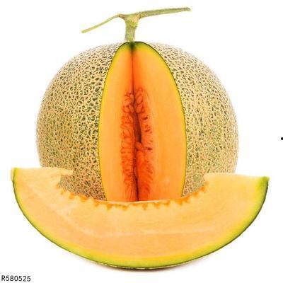 念珠菌可以吃哈密瓜,探索真菌与水果的奇妙共生