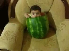 吃瓜被吃瓜图片,吃瓜与被吃的视觉盛宴