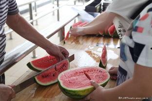 福州画室吃瓜,一场别开生面的“吃瓜”盛宴