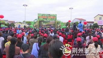 石首吃瓜大赛视频,一场视觉与味觉的双重盛宴