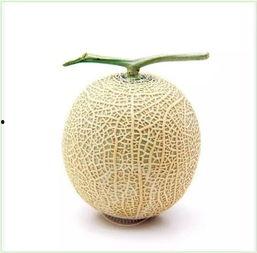 网纹瓜咋吃,教你轻松解锁多种食用方法