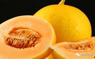 吃蜜瓜好处,揭秘夏日消暑佳果的多重益处